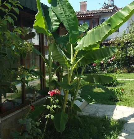 Begonville