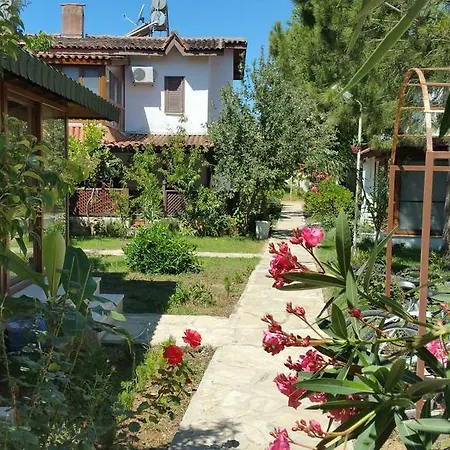 Begonville * Φετιγιέ