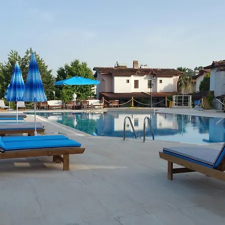 Begonville Φετιγιέ