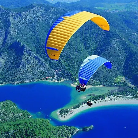 Begonville فيلة