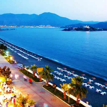 Begonville * فتحية