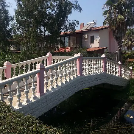 فيلة Begonville فتحية