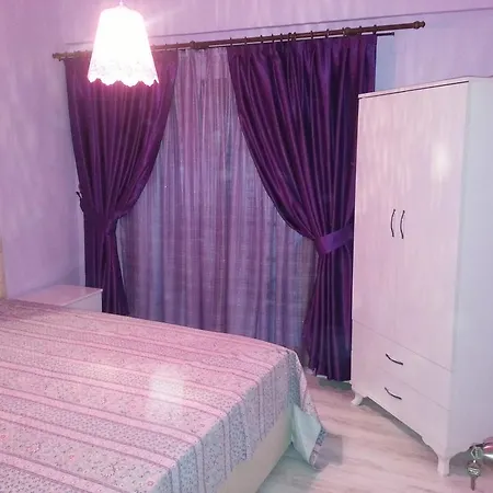 فيلة Begonville